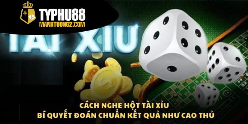 Cách nghe hột tài xỉu - Học cách nghe hột chuẩn xác 3 Nguyên tắc cơ bản trong việc nghe hột tài xỉu