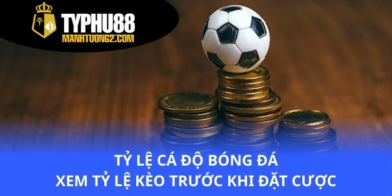 ty-le-ca-do-bong-da-xem-ty-le-keo-truoc-khi-dat-cuoc